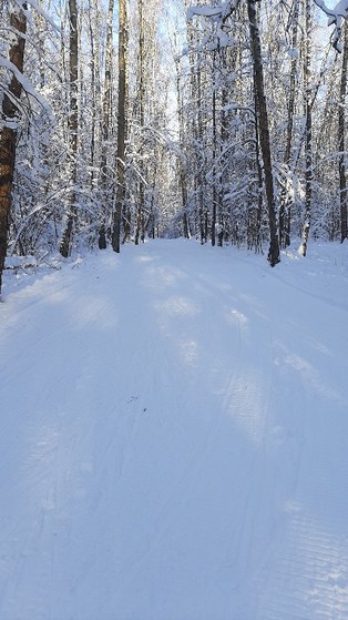 лыжн.трасса
